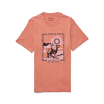 Llama Greetings T-Shirt - Men's