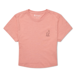 Tiny Llama Crop T-Shirt - Women's