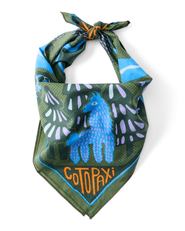 Organic Cotton Bandana